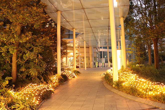 Toranomon Hills Christmas 虎ノ門ヒルズ Toranomon Hills Toranomon Hills Christmas 虎ノ門ヒルズ Toranomon Hills