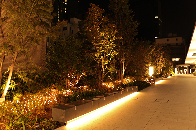 Toranomon Hills Christmas 虎ノ門ヒルズ Toranomon Hills