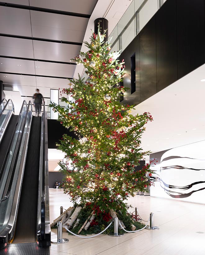 Toranomon Hills Christmas 21 虎ノ門ヒルズ Toranomon Hills