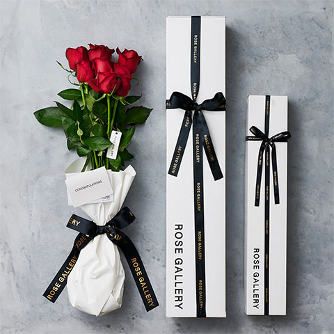 ROSE GALLERY
