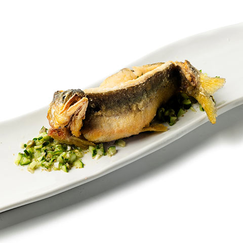 魚菜由良 雑魚亭